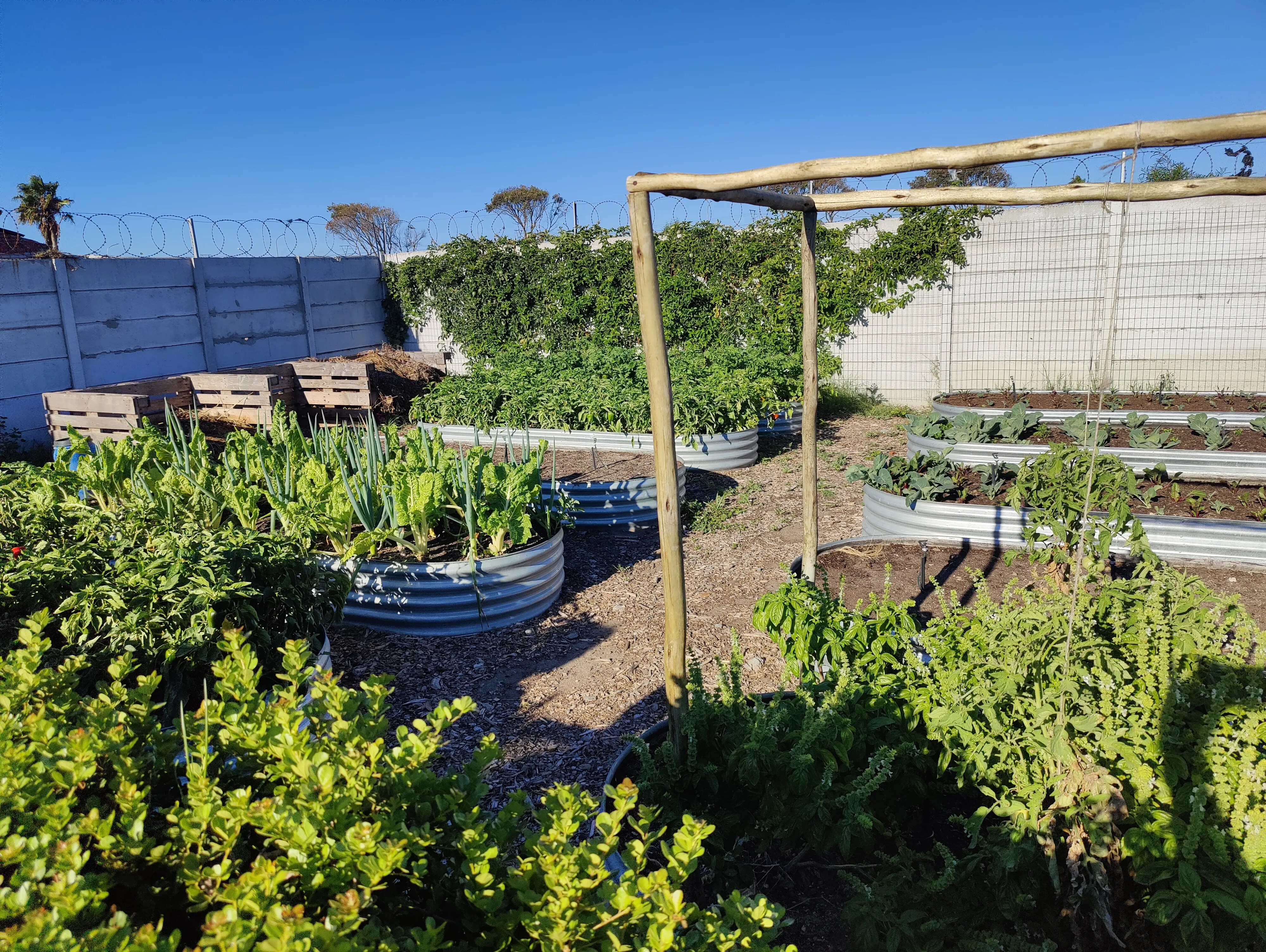 Gemüsegarten auf dem Gelände